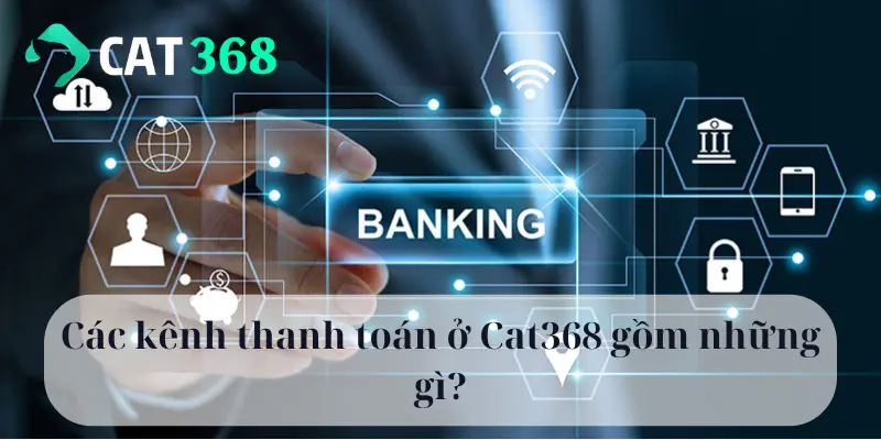 Các kênh thanh toán ở Cat368 gồm những gì?