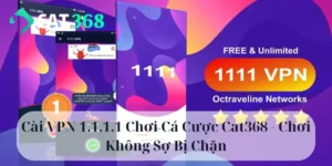 Cài VPN 1.1.1.1 chơi cá cược Cat368