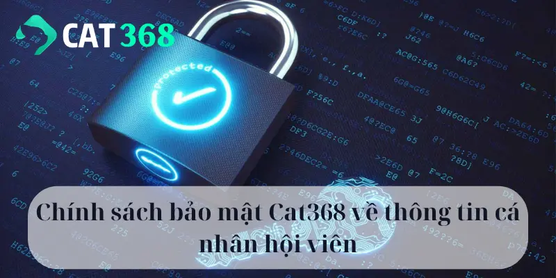 Chính sách bảo mật Cat368 về thông tin cá nhân hội viên