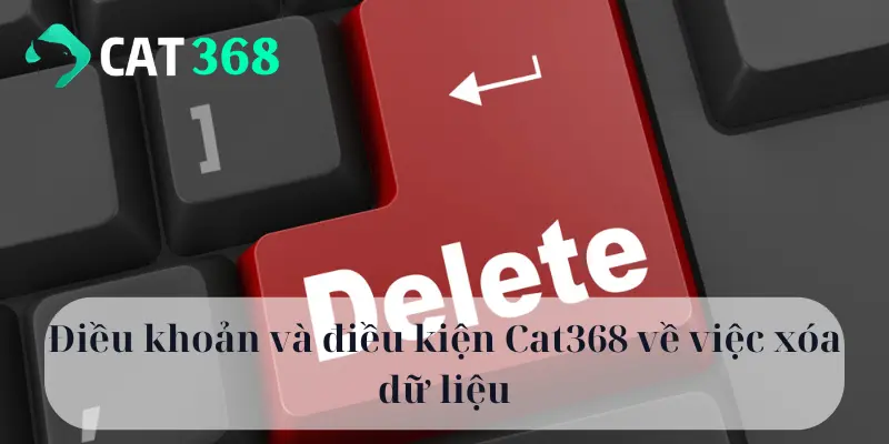 Điều khoản và điều kiện Cat368 về việc xóa dữ liệu