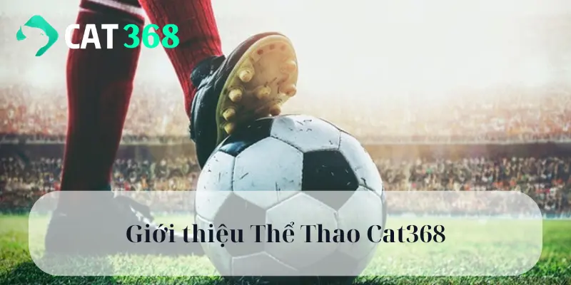 Giới thiệu Thể Thao Cat368