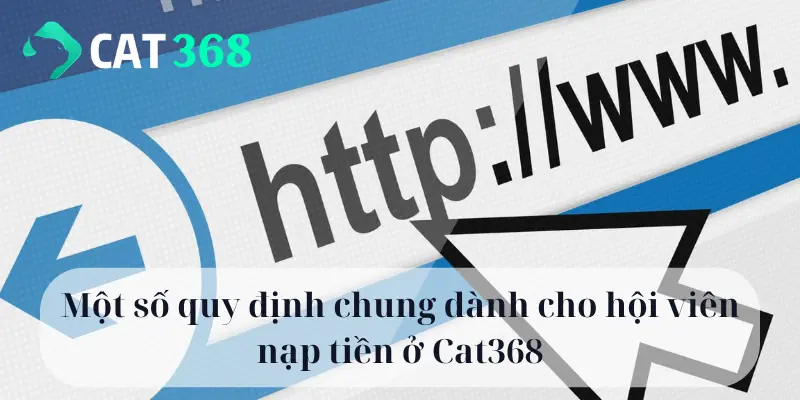 Một số quy định chung dành cho hội viên nạp tiền ở Cat368