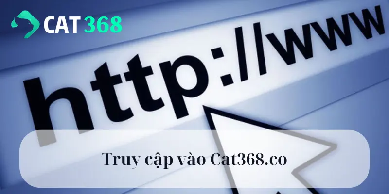 Truy cập vào Cat368.co