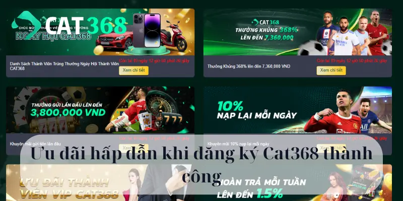 Ưu đãi hấp dẫn khi đăng ký Cat368 thành công